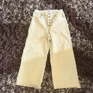 Easel Cream Button-Fly wide leg Pants